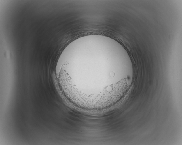 X0000108480336200905151228