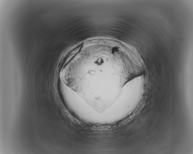 X0000108480337200905151227