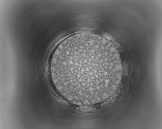 X0000108480338200905151227