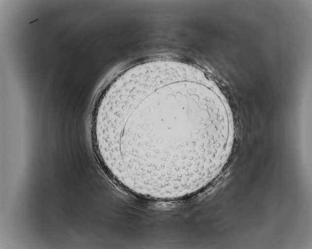 X0000108480341200905151227