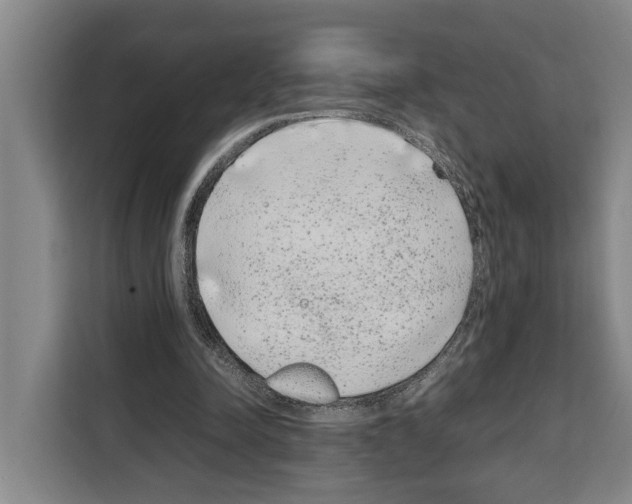 X0000108480342200905151227