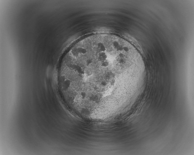 X0000108480347200905151227