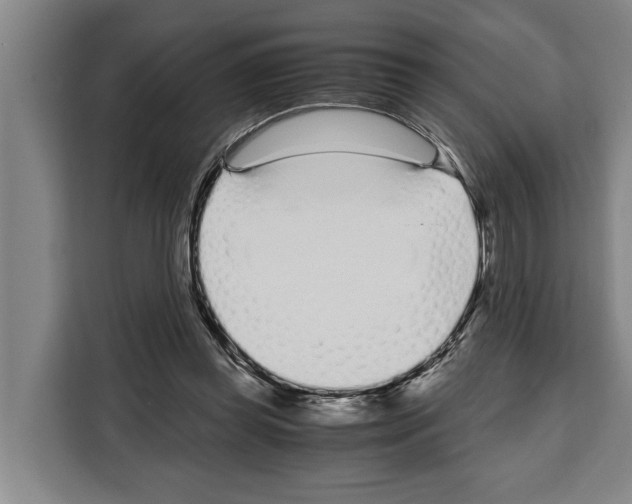 X0000108480349200905151227