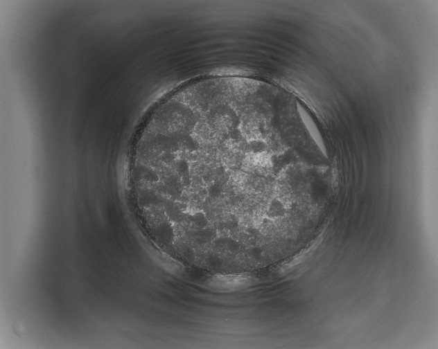 X0000108480351200905151227
