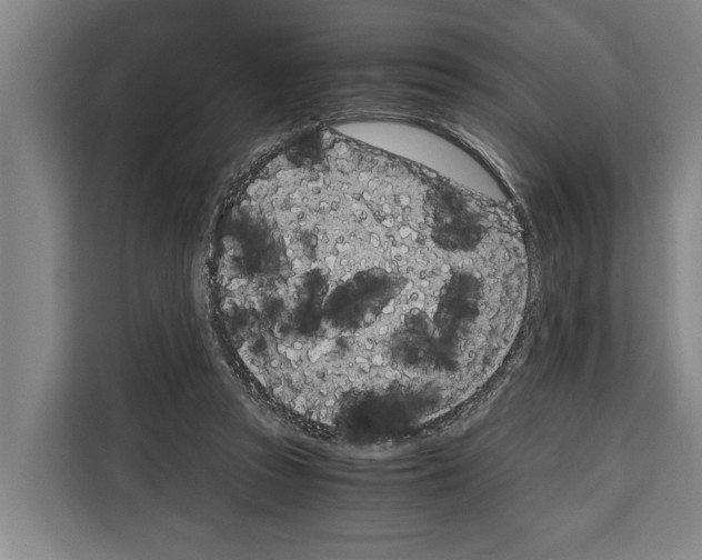 X0000108480353200905151227