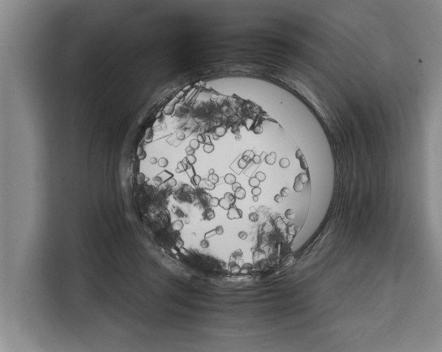 X0000108480357200905151227