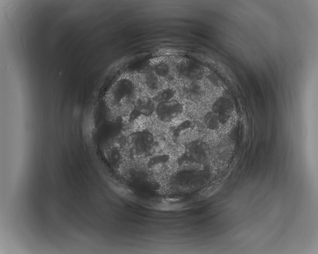 X0000108480361200905151227