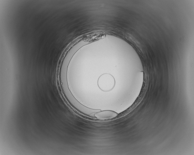 X0000108480370200905151227