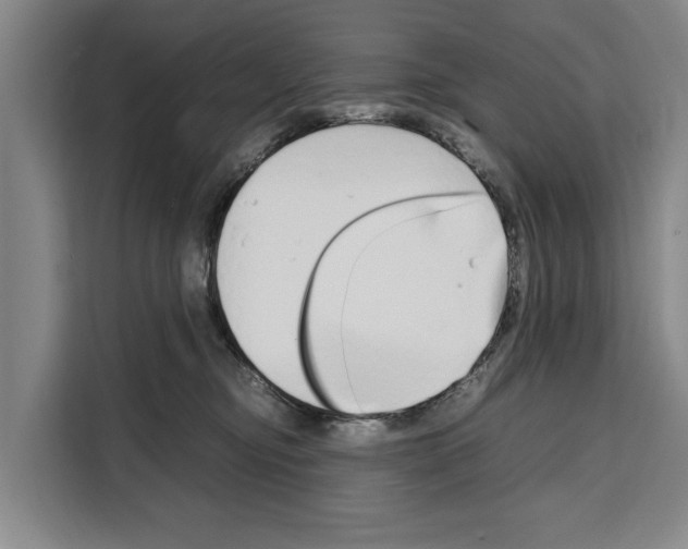 X0000108480374200905151228