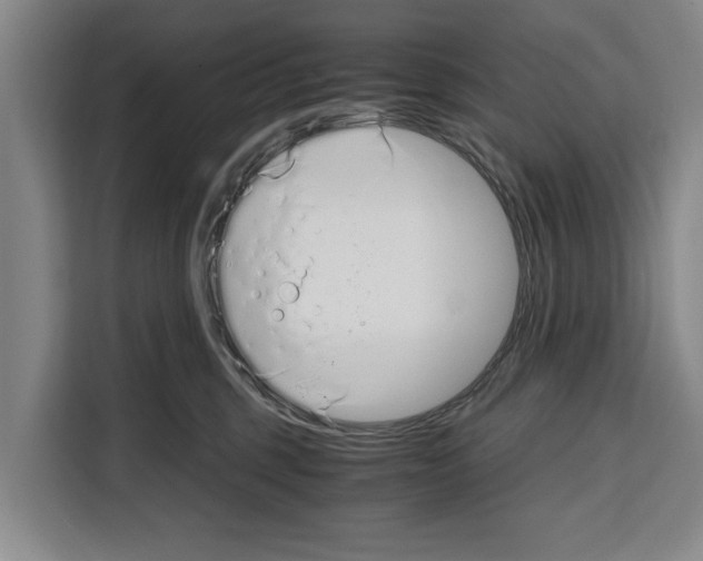 X0000108480375200905151228