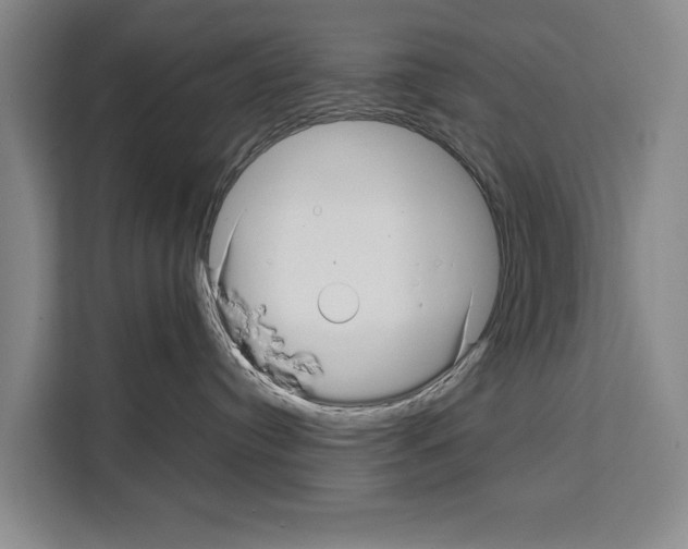X0000108480384200905151228