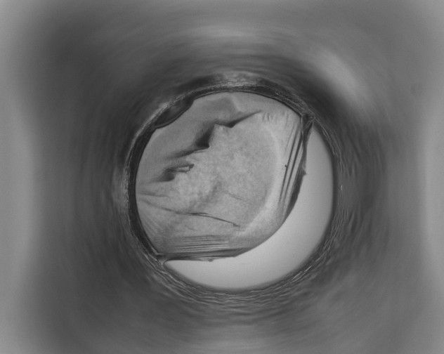 X0000108480387200905151227