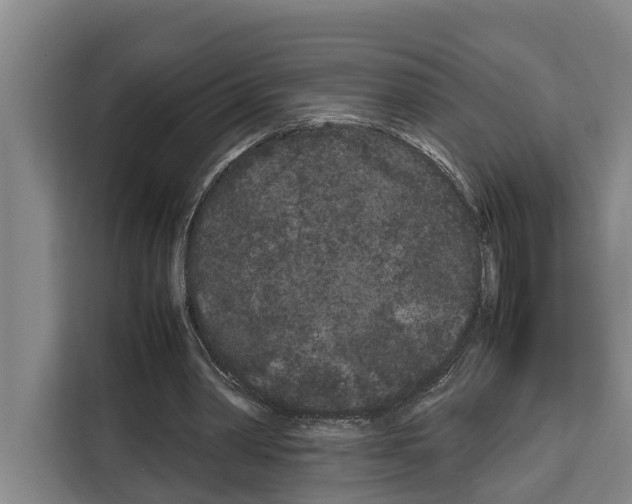 X0000108480390200905151227