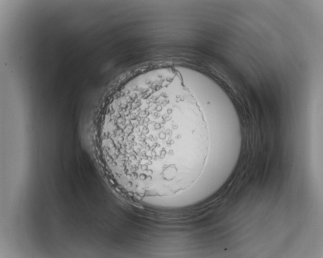 X0000108480410200905151227