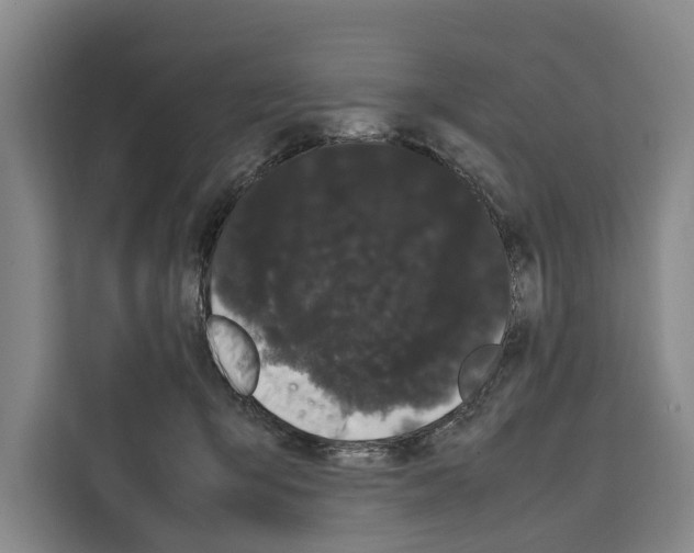 X0000108480415200905151227