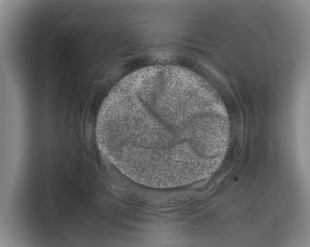 X0000108480417200905151227