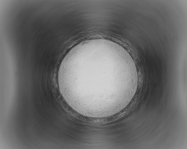 X0000108480422200905151227