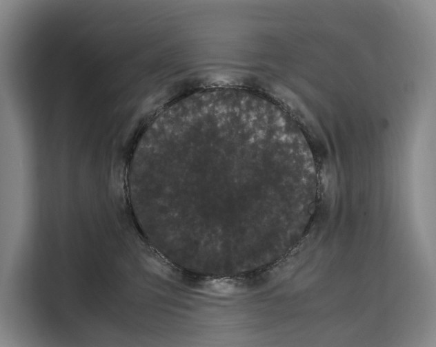 X0000108480423200905151227