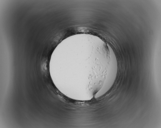 X0000108480424200905151227