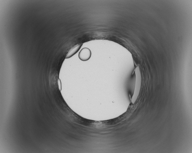X0000108480425200905151227