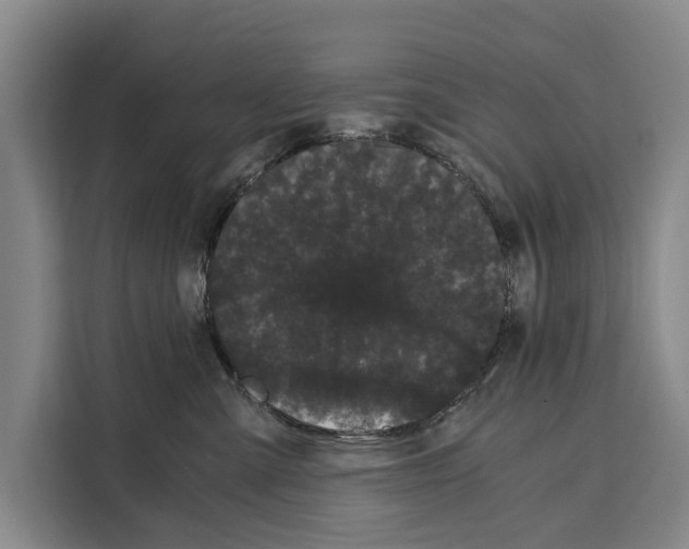 X0000108480427200905151227