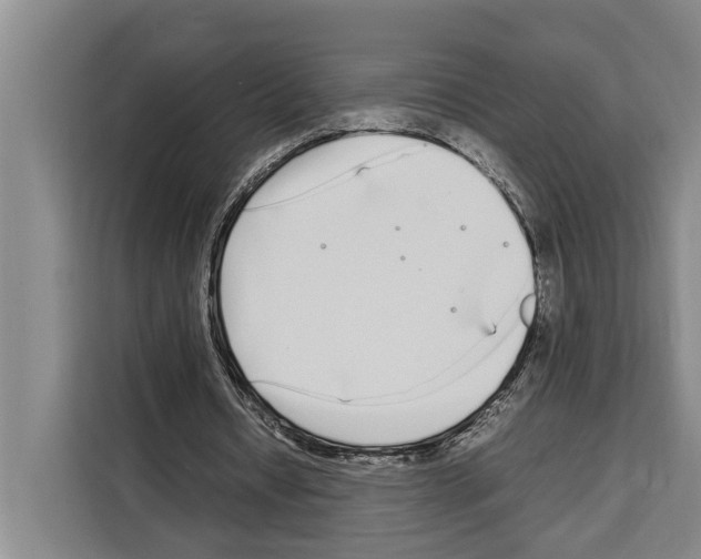 X0000108480434200905151226