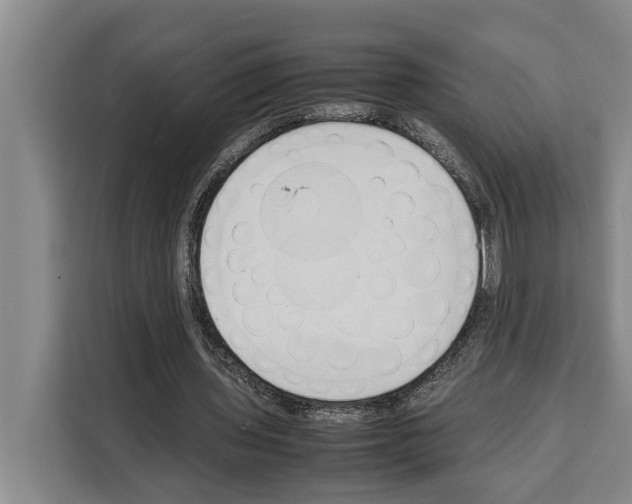 X0000108480435200905151226