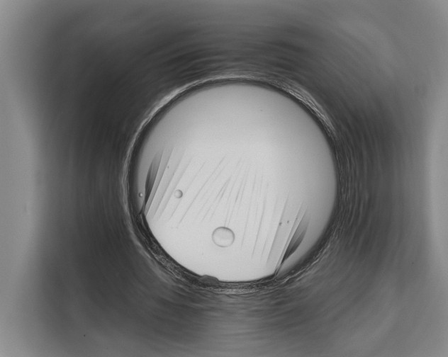 X0000108480436200905151226
