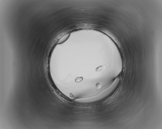 X0000108480437200905151226