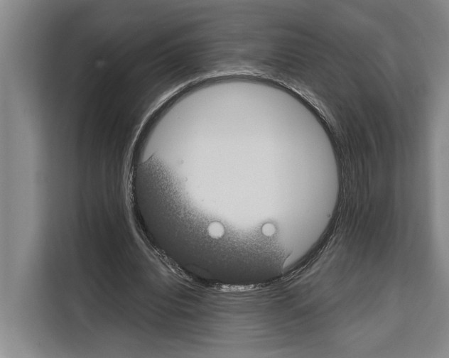 X0000108480440200905151226
