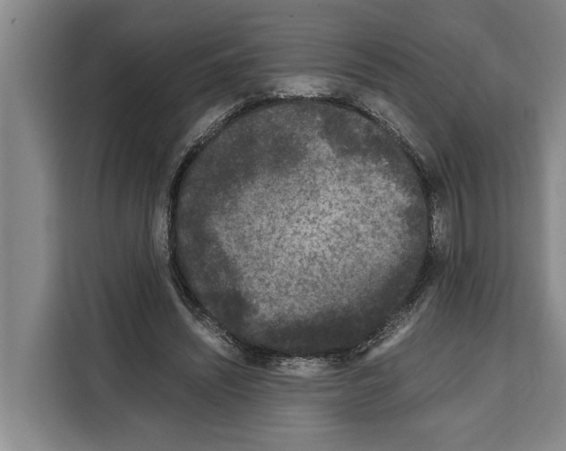 X0000108480444200905151226