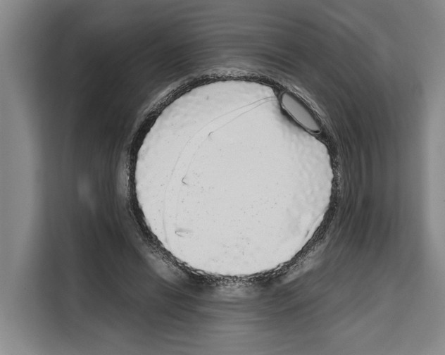 X0000108480446200905151226