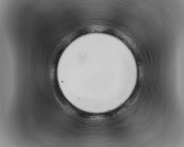 X0000108480451200905151226