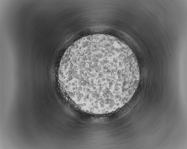X0000108480452200905151226