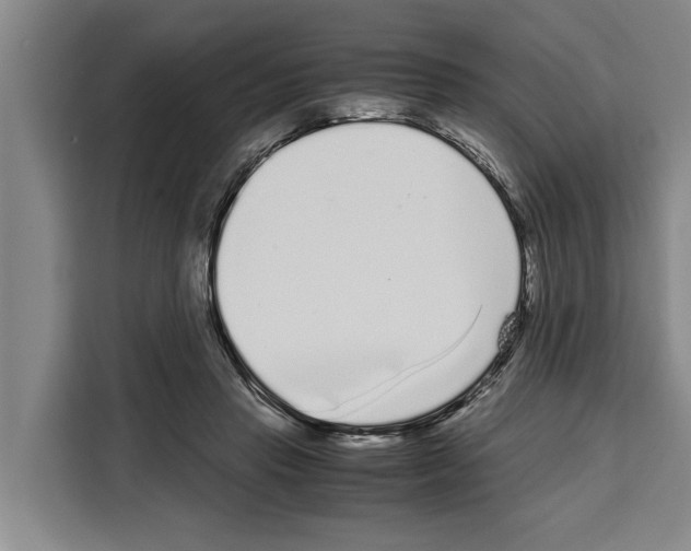 X0000108480453200905151226