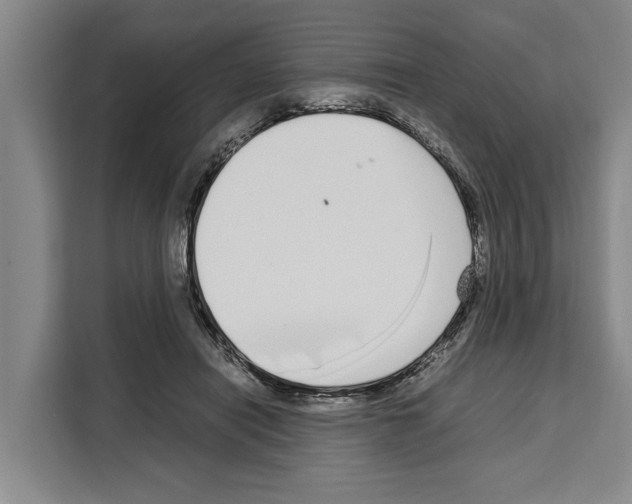 X0000108480454200905151226