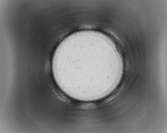 X0000108480459200905151226