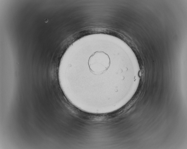 X0000108480462200905151226