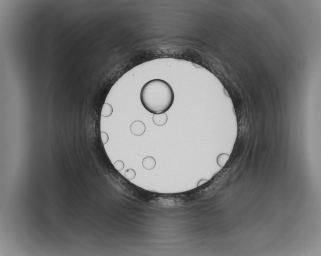 X0000108480464200905151226