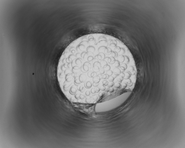 X0000108480466200905151226