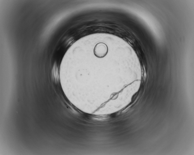 X0000108480479200905151226