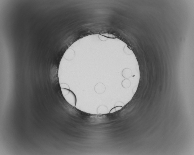 X0000108480480200905151226