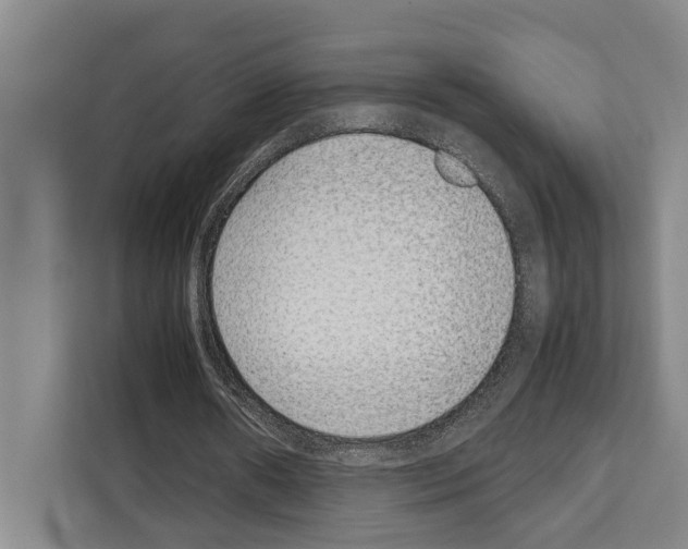 X0000108480482200905151226