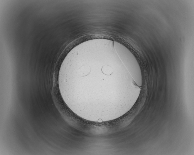 X0000108480502200905151226