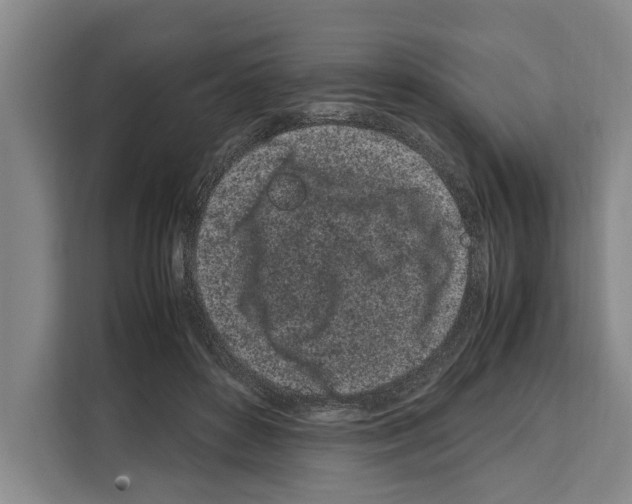 X0000108480504200905151226