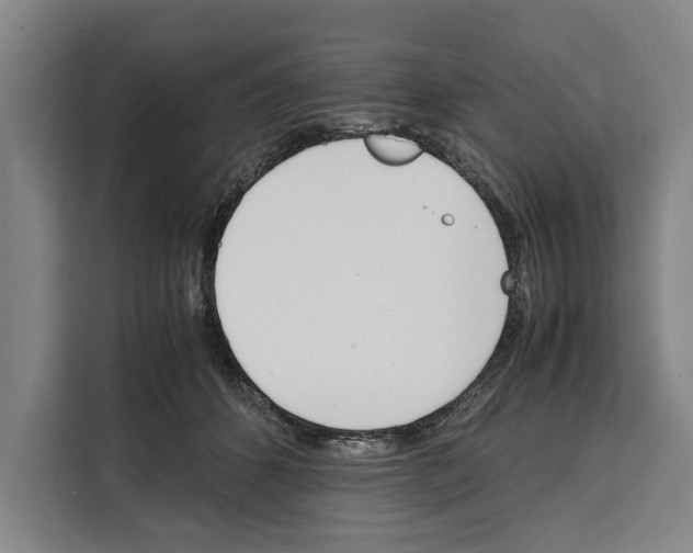 X0000108480512200905151225