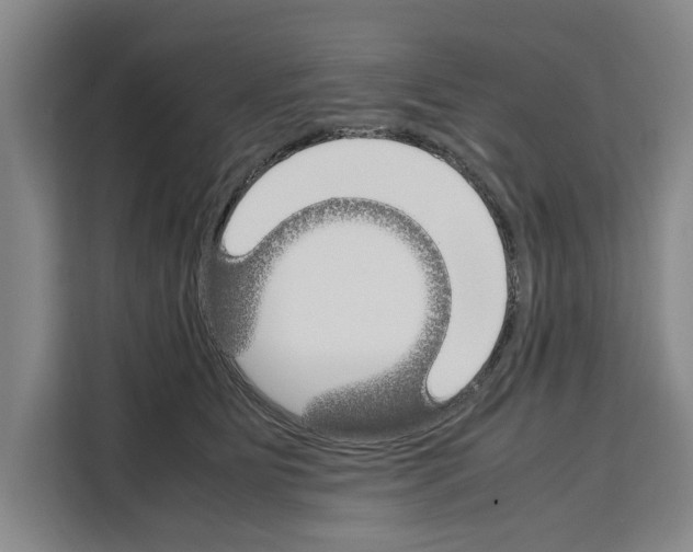 X0000108480515200905151225