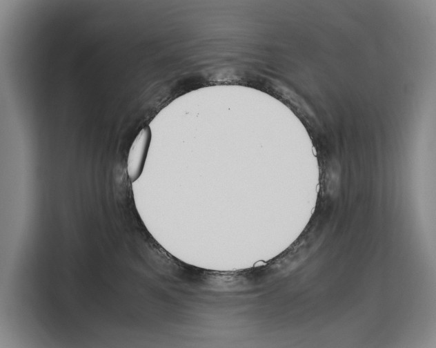 X0000108480521200905151225