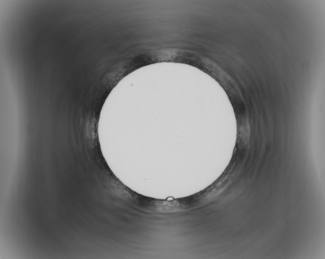X0000108480525200905151225