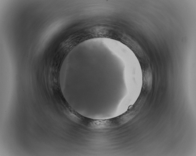 X0000108480526200905151225
